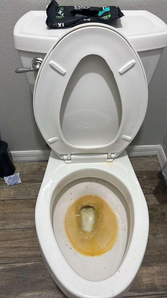 Toilet Before